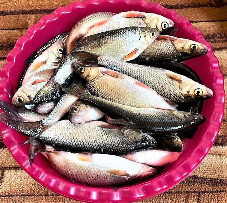 Великолепный северный чебак