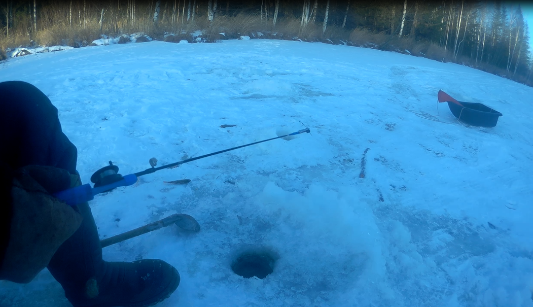 Первая зимняя рыбалка на «Песках» в Невьянском районе, безнасадочная мормышка, балансир | фото и видео
